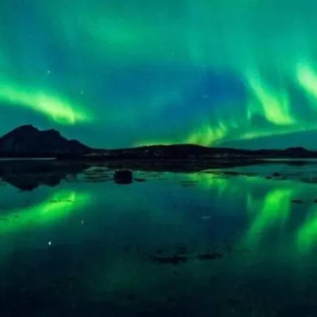 Fisherman's Lofoten